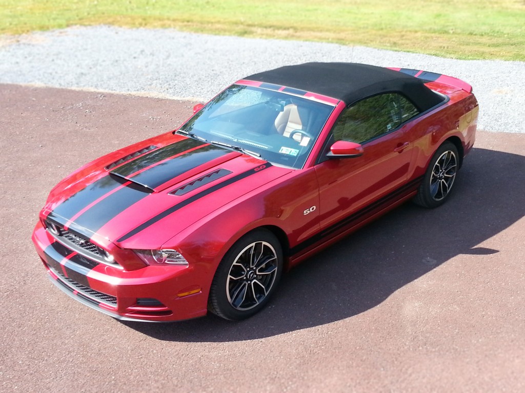 Mustang GT Shelby Cobra style stripes