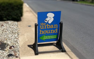Urban Hound Sidewalk Sign