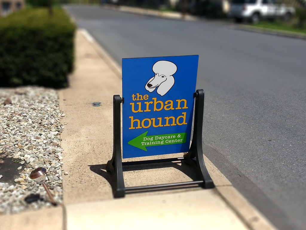 Swinger sidewalk sign for the urban hound