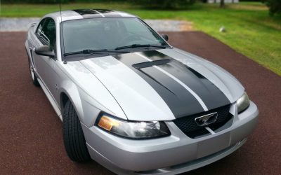 Mustang GT Style Stripes